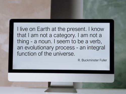 Buckminster Fuller quote